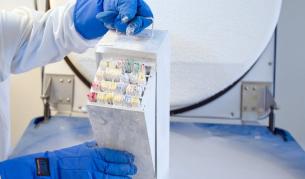 Немски професор иска да го замразят