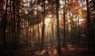 Застудяване през октомври