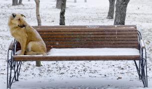 Температурите в Румъния падат до минус 6 градуса