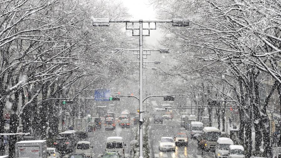 Необичайно ранни снегове паднаха в Япония