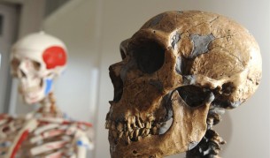 В древни времена на Земята са живели хора великани?