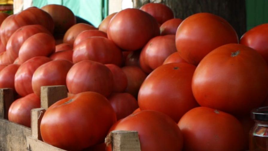 Опасни домати с бром са открити в Пловдив