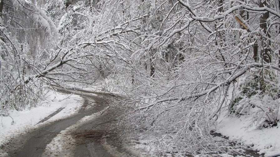 40 населени места в Североизточна България останаха без ток заради снега